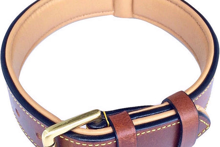 Padded Leather Dog Collar, Large Brown, Real Genuine Leather, 24" Long X 1.5 Wide, Fits Neck Size 18" to 21" Inches